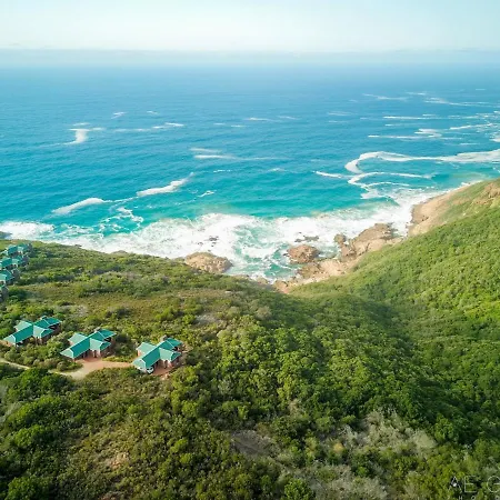 Blue Whale Resort George Exterior photo
